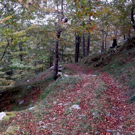 El Cerro Villa La Concha  Dış mekan fotoğraf