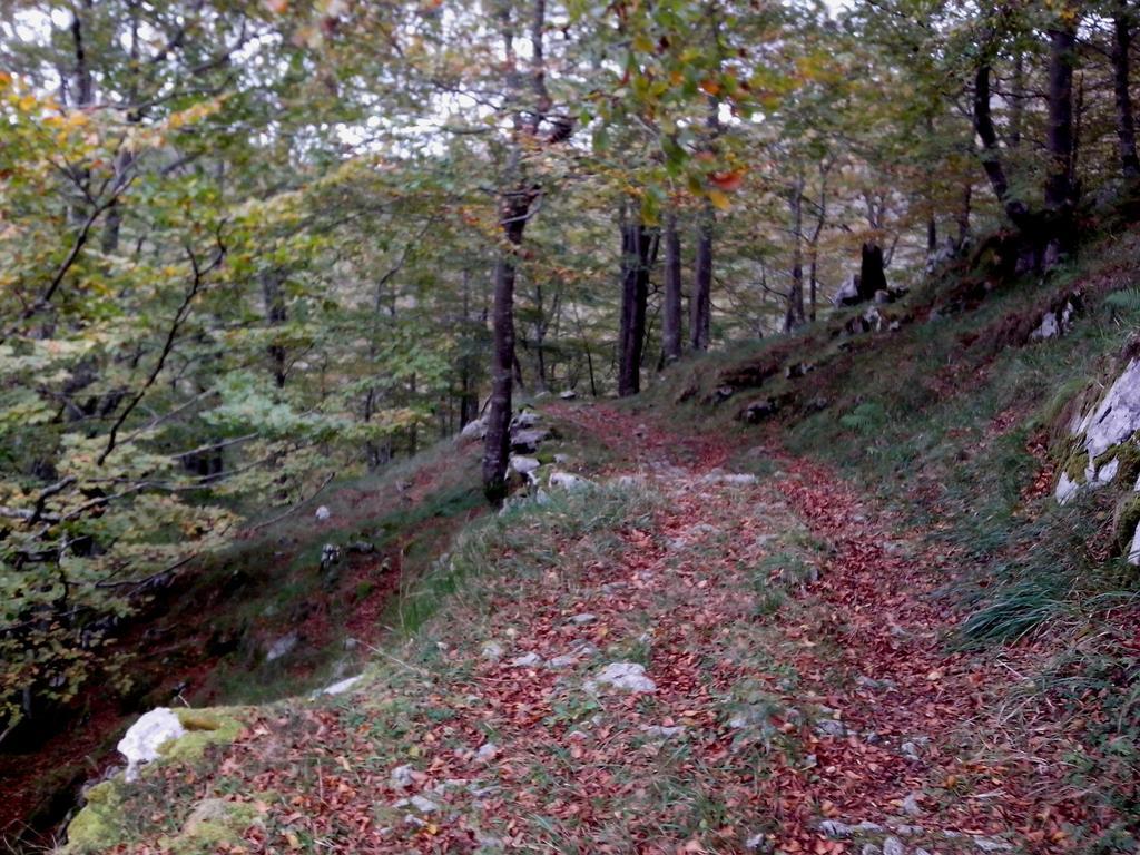 El Cerro Villa La Concha  Dış mekan fotoğraf
